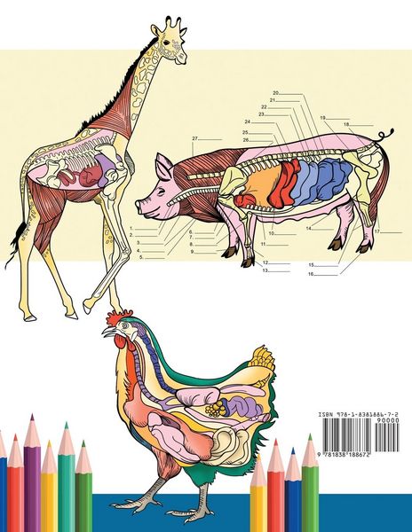 Produktbild: Malbuch f&uuml;r Veterin&auml;r-Anatomie