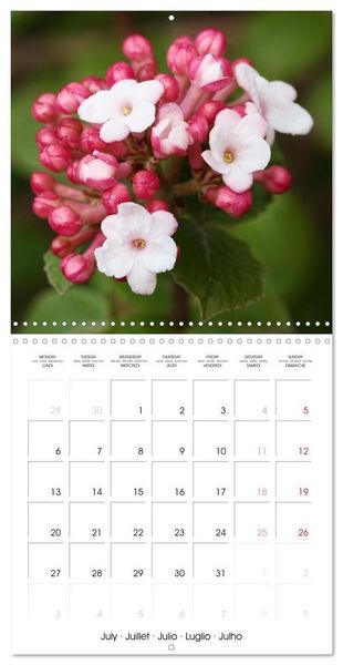 Produktbild: Kruse, G: Printemps toute l'ann&eacute;e (Calendrier mural carr&eacute; 20