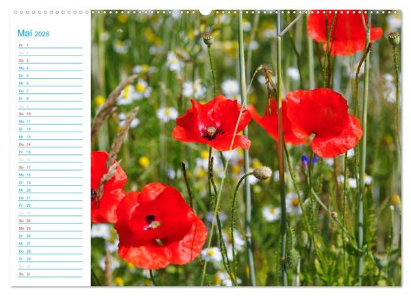 Produktbild: Wundersch&ouml;ner Spreewald (Wandkalender 2026 DIN A2 quer), CALVENDO Monatskalender