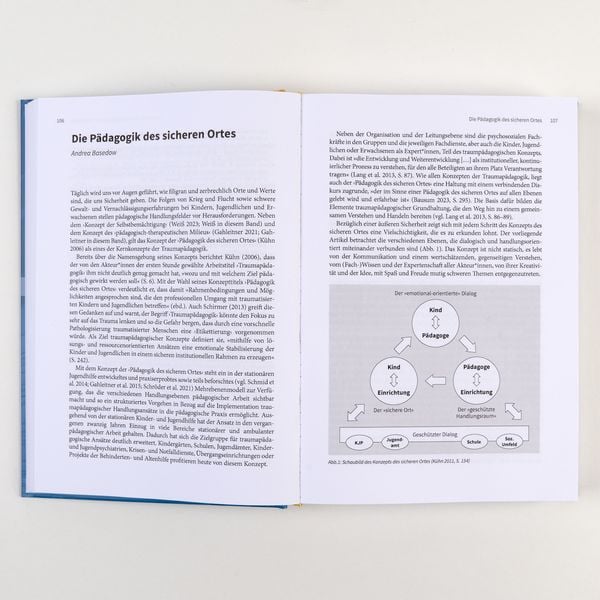 Produktbild: Handbuch Traumap&auml;dagogik