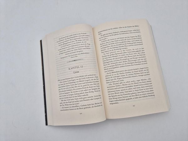 Produktbild: Das Buch, das dem Feuer widerstand