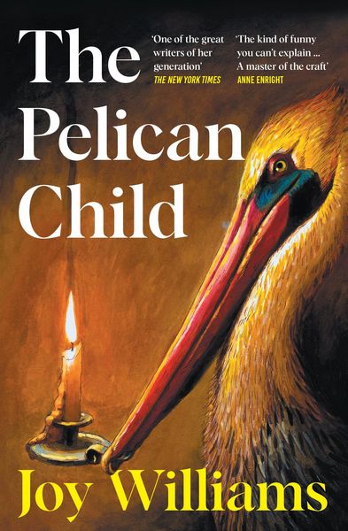 Produktbild: The Pelican Child
