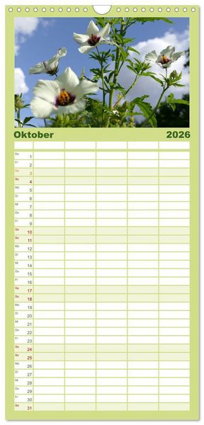 Produktbild: Familienplaner 2026 - Garten von unten. Ein Perspektivwechsel mit 5 Spalten (Wandkalender, 21 x 45 cm) CALVENDO