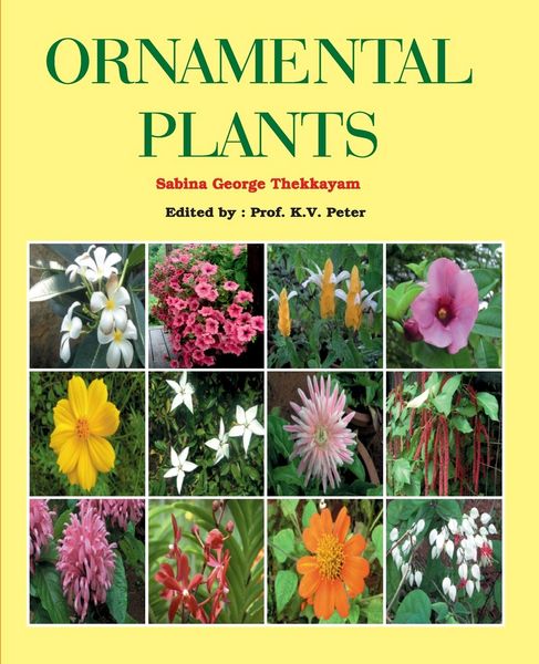 Produktbild: Ornamental Plants