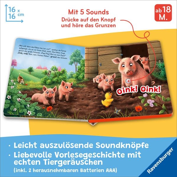 Produktbild: H&ouml;r mal hin - Piep! Piep! Bist du mein Papa?