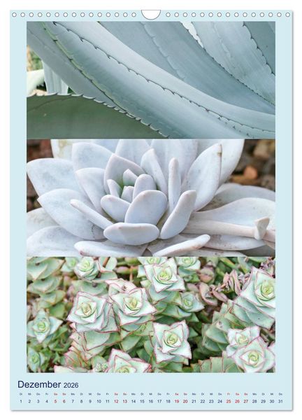 Produktbild: Mein Gartenjahr - Mit der Kamera unterwegs in G&auml;rten und Parkanlagen (Wandkalender 2026 DIN A3 hoch), CALVENDO Monatskalender