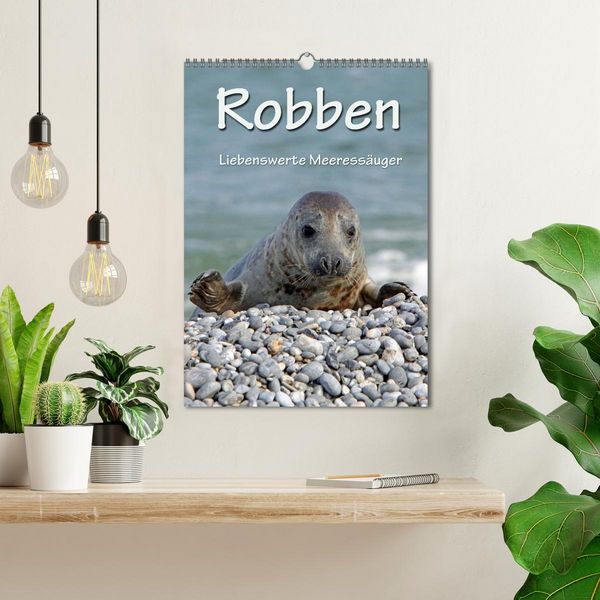 Produktbild: Robben (Wandkalender 2026 DIN A3 hoch), CALVENDO Monatskalender