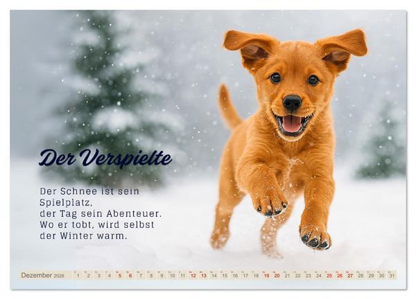 Produktbild: Hunde mit Charakter (Wandkalender 2026 DIN A2 quer), CALVENDO Monatskalender