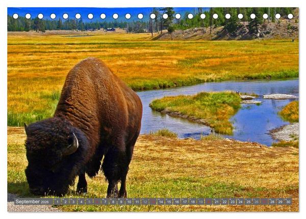 Produktbild: Wyoming &bull; Impressionen (Tischkalender 2026 DIN A5 quer), CALVENDO Monatskalender