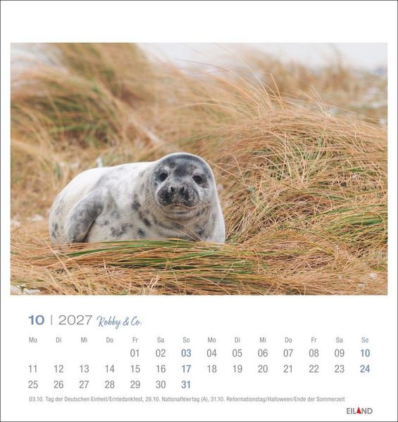 Produktbild: Robby & Co. Postkartenkalender 2027