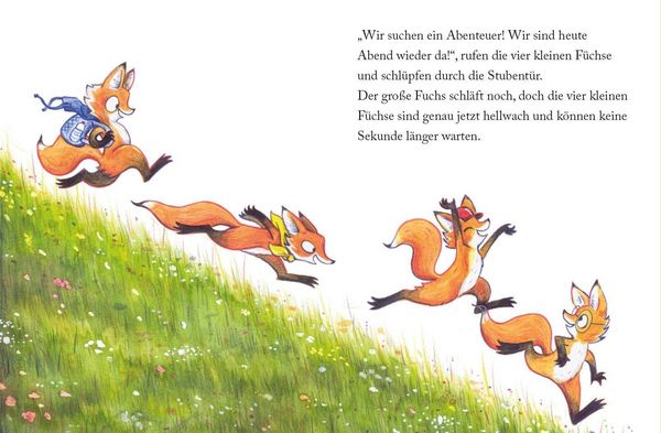 Produktbild: Flitzef&uuml;chse