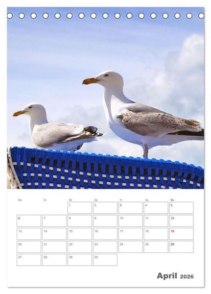 Produktbild: Mein Warnem&uuml;nde - Das moderne Ostseebad im Norden von Rostock (Tischkalender 2026 DIN A5 hoch), CALVENDO Monatskalender