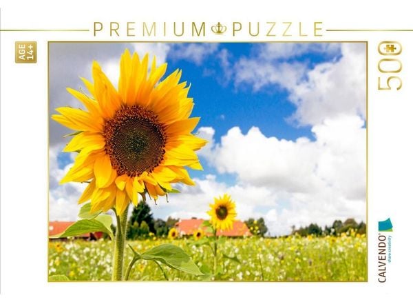 CALVENDO Puzzle Eversmeer - Sonnenblumenfeld | 500 Teile Lege-Größe 48 × 36 cm Foto-Puzzle für Erwachsene