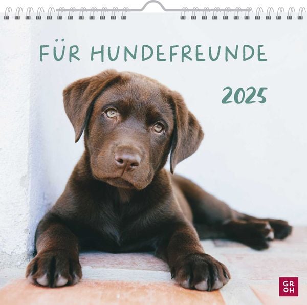 Wandkalender 2025: Für Hundefreunde