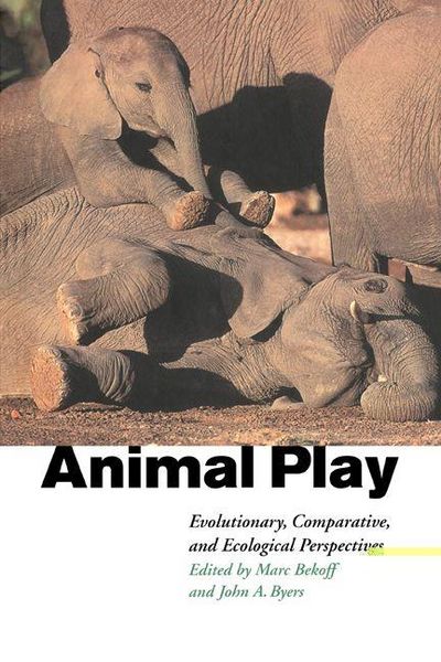 Produktbild: Animal Play