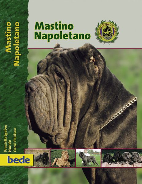 Mastino Napoletano, Gebundene Ausgabe von Carol Paulsen, Verlag Eugen Ulmer, 978-3-933646-28-6