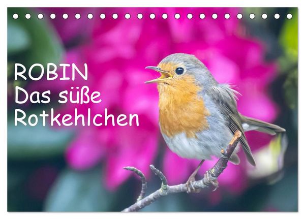 Produktbild: Robin, das s&uuml;&szlig;e Rotkehlchen (Tischkalender 2027 DIN A5 quer), CALVENDO Monatskalender