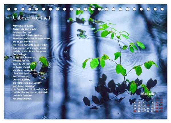 Produktbild: Lichtblicke f&uuml;r Auge und Seele - Der Kalender (Tischkalender 2026 DIN A5 quer), CALVENDO Monatskalender