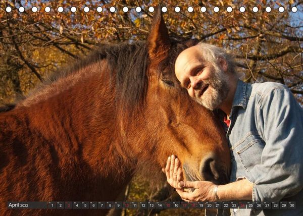 Produktbild: Pferd und Mensch in Harmonie (Tischkalender 2022 DIN A5 quer)
