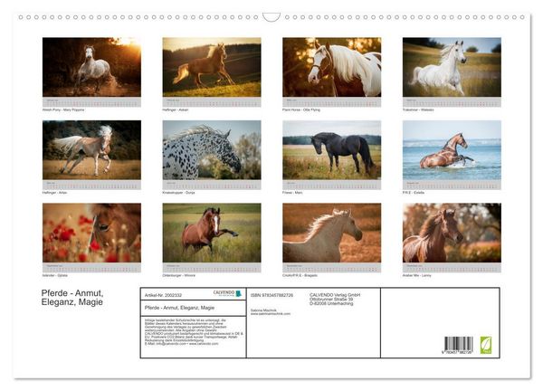 Produktbild: Pferde - Anmut, Eleganz, Magie (Wandkalender 2026 DIN A2 quer), CALVENDO Monatskalender