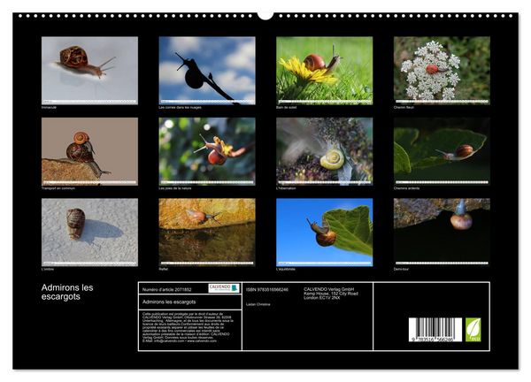 Produktbild: Admirons les escargots (Calendrier mural 2026 DIN A2 vertical) calendrier de bureau