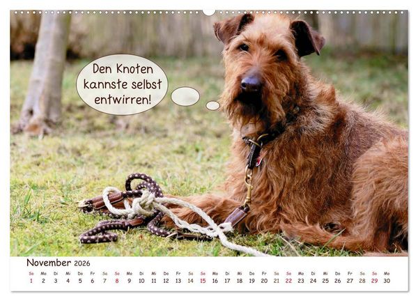 Produktbild: Frei Schnauze 2026. Was Hunde am liebsten sagen w&uuml;rden (hochwertiger Premium Wandkalender 2026 DIN A2 quer), Kunstdruck in Hochglanz