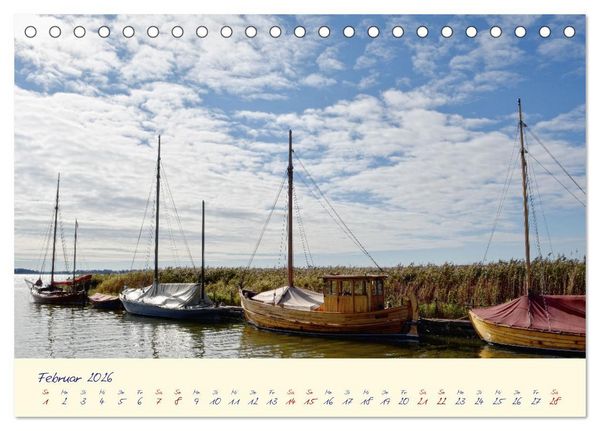 Produktbild: OSTSEEGL&Uuml;CK - Gl&uuml;cksmomente auf dem Dar&szlig; (Tischkalender 2026 DIN A5 quer), CALVENDO Monatskalender