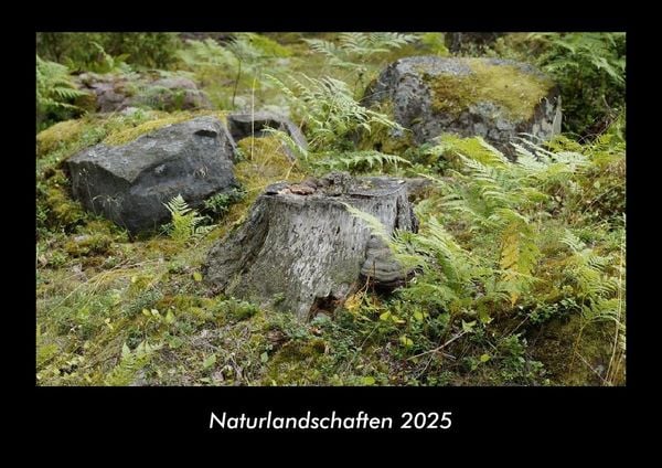 Produktbild: Naturlandschaften 2025 Fotokalender DIN A3
