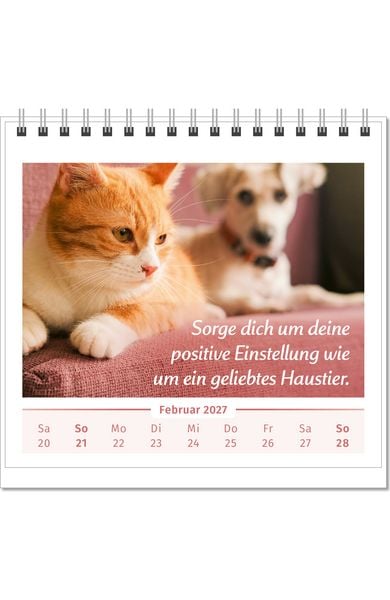 Produktbild: Der Lebensfreude-Tischkalender 2027