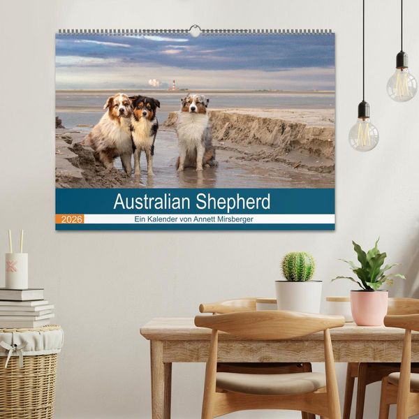 Produktbild: Australian Shepherd 2026 (Wandkalender 2026 DIN A2 quer), CALVENDO Monatskalender