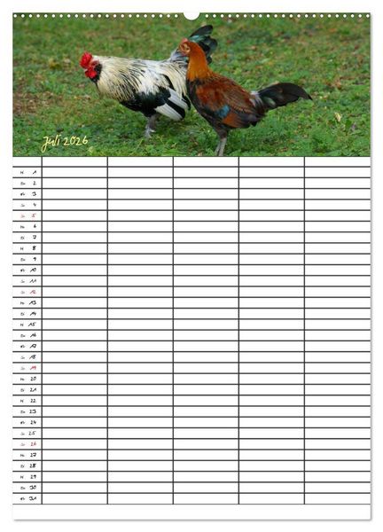 Produktbild: Bauernhoftiere Familienplaner (Wandkalender 2026 DIN A2 hoch), CALVENDO Monatskalender