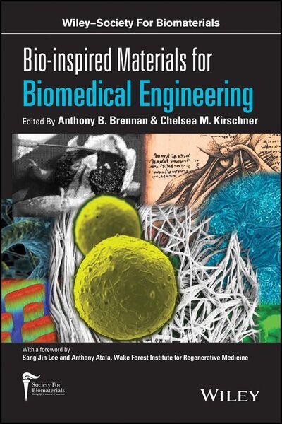 Produktbild: Bio-inspired Materials for Biomedical Engineering