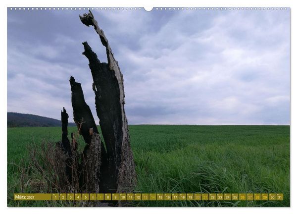 Produktbild: Apfelbaum und Streuobstwiesen (Wandkalender 2027 DIN A2 quer), CALVENDO Monatskalender