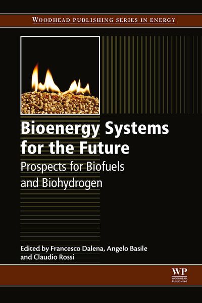 Produktbild: Bioenergy Systems for the Future