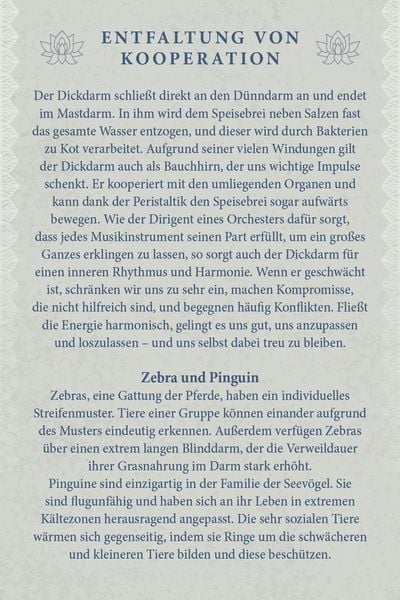 Produktbild: Kraftvolle Organe - &Uuml;bungen und Impulse zur Befreiung von Energieblockaden