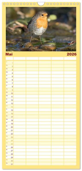 Produktbild: Familienplaner 2026 - Geliebtes Rotkehlchen mit 5 Spalten (Wandkalender, 21 x 45 cm) CALVENDO
