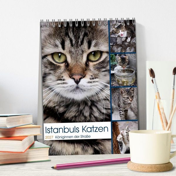 Produktbild: Istanbuls Katzen (Tischkalender 2027 DIN A5 hoch), CALVENDO Monatskalender
