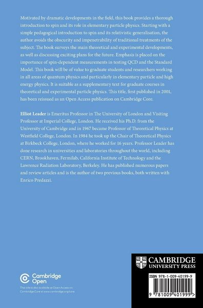 Produktbild: Spin in Particle Physics