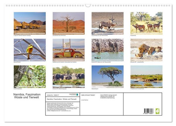 Produktbild: Namibia, Faszination W&uuml;ste und Tierwelt (Wandkalender 2026 DIN A2 quer), CALVENDO Monatskalender