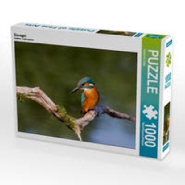 CALVENDO Puzzle Eisvogel 1000 Teile Lege-Größe 64 x 48 cm Foto-Puzzle Bild von Ursula Di Chito