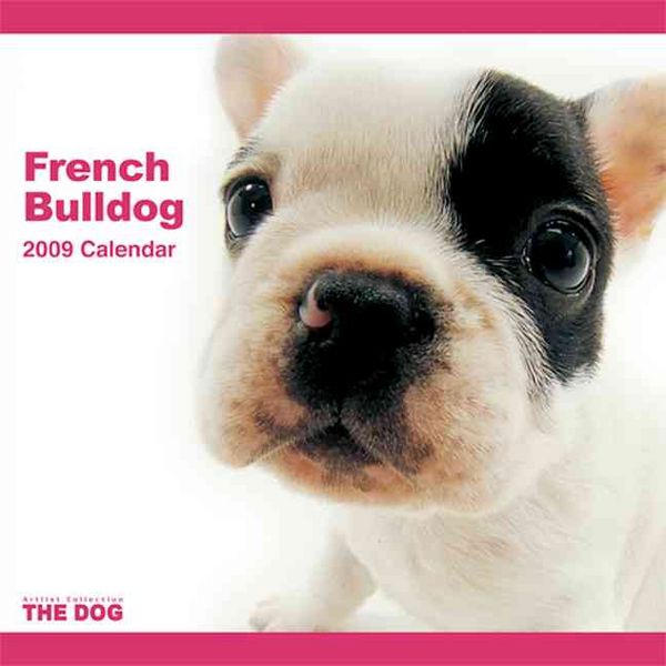 Produktbild: French Bulldog 2009 Calendar
