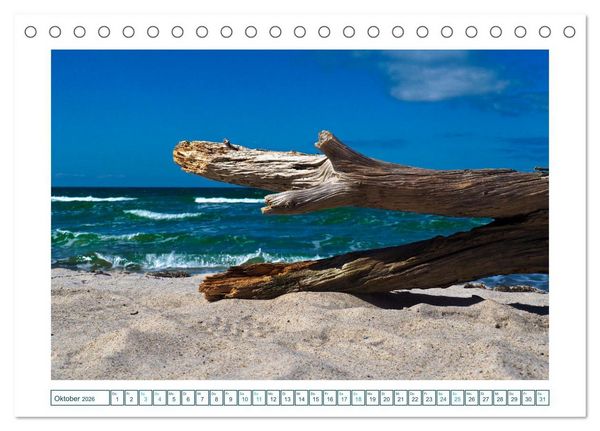 Produktbild: Der Weststrand am Dar&szlig; (Tischkalender 2026 DIN A5 quer), CALVENDO Monatskalender