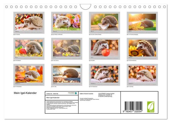 Produktbild: Mein Igel-Kalender (Wandkalender 2026 DIN A4 quer), CALVENDO Monatskalender