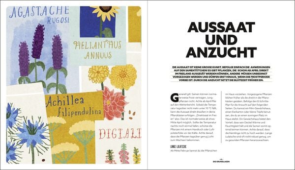 Produktbild: Blumenzauber &ndash; Mein bl&uuml;hendes Paradies auf Balkon und Terrasse