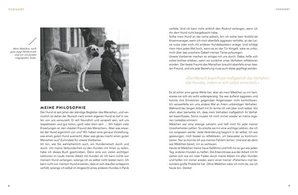 Produktbild: Sei h&ouml;flich zu deinem Hund!