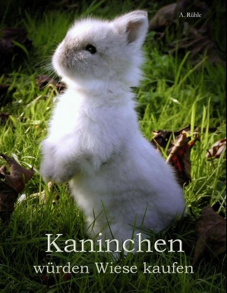 Produktbild: Kaninchen w&uuml;rden Wiese kaufen