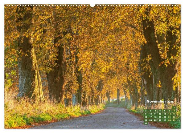 Produktbild: Alleen: Der Weg ist das Ziel (hochwertiger Premium Wandkalender 2026 DIN A2 quer), Kunstdruck in Hochglanz