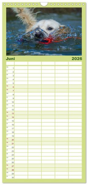 Produktbild: Familienplaner 2026 - Golden Retriever - Ein Herz auf 4 Pfoten mit 5 Spalten (Wandkalender, 21 x 45 cm) CALVENDO