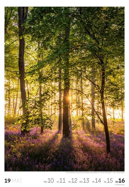 Produktbild: Natur Wochenkalender 2027