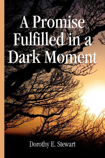 Produktbild: A Promise Fulfilled in a Dark Moment